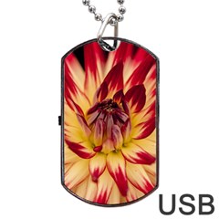 Bloom Blossom Close Up Flora Dog Tag Usb Flash (two Sides) by Amaryn4rt