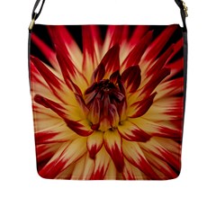 Bloom Blossom Close Up Flora Flap Closure Messenger Bag (l) by Amaryn4rt