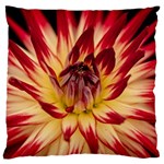 Bloom Blossom Close Up Flora Standard Premium Plush Fleece Cushion Case (Two Sides) Back