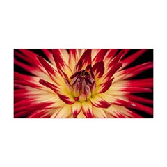 Bloom Blossom Close Up Flora Yoga Headband by Amaryn4rt