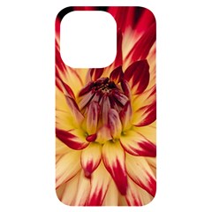 Bloom Blossom Close Up Flora Iphone 14 Pro Black Uv Print Case by Amaryn4rt