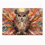 Drawing Olw Bird Postcard 4 x 6  (Pkg of 10) Front