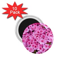 Beautiful Tree Flowers 1 75  Magnets (10 Pack)  by 1212