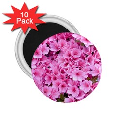 Beautiful Tree Flowers 2 25  Magnets (10 Pack)  by 1212