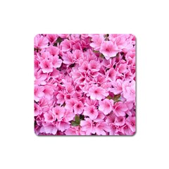 Beautiful Tree Flowers Square Magnet by 1212