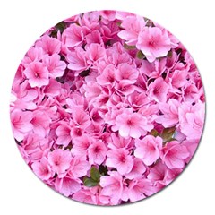 Beautiful Tree Flowers Magnet 5  (round) by 1212