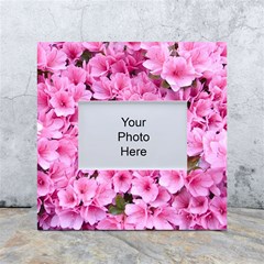 Beautiful Tree Flowers White Box Photo Frame 4  X 6  by 1212