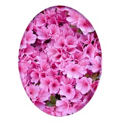 Beautiful Tree Flowers Oval Glass Fridge Magnet (4 Pack) by 1212