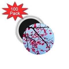 Beautiful Tree Flowers 1 75  Magnets (100 Pack)  by 1212