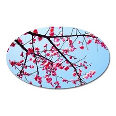 Beautiful Tree Flowers Oval Magnet by 1212