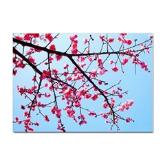 Beautiful Tree Flowers Sticker A4 (100 Pack) by 1212