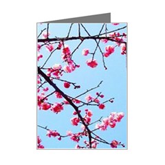 Beautiful Tree Flowers Mini Greeting Card by 1212