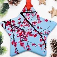 Beautiful Tree Flowers Star Ornament (two Sides)