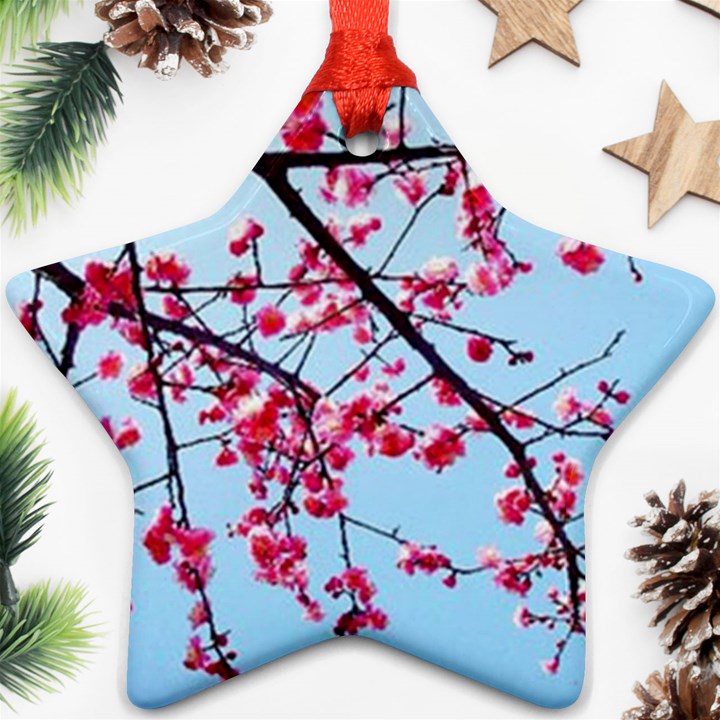 Beautiful tree flowers Star Ornament (Two Sides)