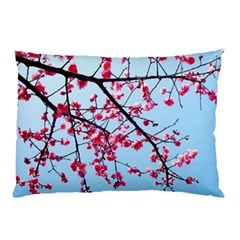 Beautiful Tree Flowers Pillow Case by 1212