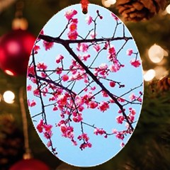 Beautiful Tree Flowers Uv Print Acrylic Ornament Oval