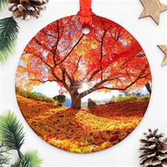 Beautiful Tree Flowers Round Ornament (two Sides)