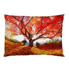 Beautiful Tree Flowers Pillow Case by 1212