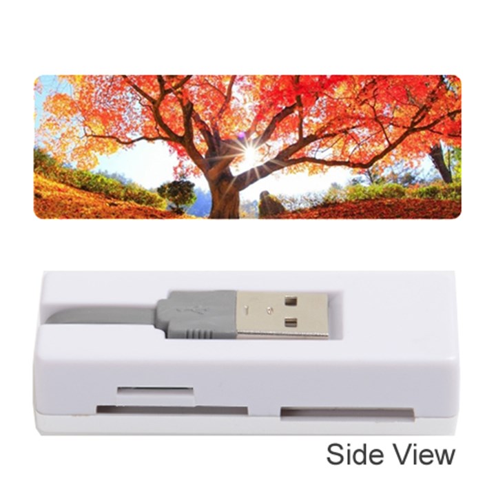 Beautiful tree flowers Memory Card Reader (Stick)