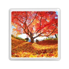 Beautiful Tree Flowers Memory Card Reader (square) by 1212