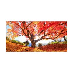 Beautiful Tree Flowers Yoga Headband by 1212