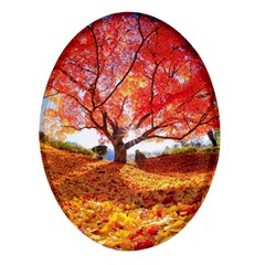 Beautiful Tree Flowers Oval Glass Fridge Magnet (4 Pack) by 1212