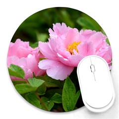 Beautiful Tree Flowers Round Mousepad by 1212