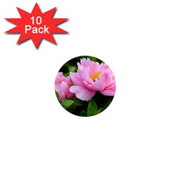 Beautiful Tree Flowers 1  Mini Magnet (10 Pack)  by 1212