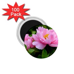 Beautiful Tree Flowers 1 75  Magnets (100 Pack)  by 1212