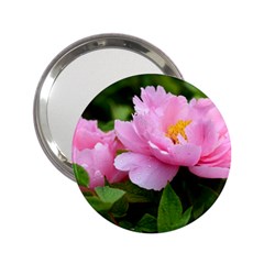 Beautiful Tree Flowers 2 25  Handbag Mirrors by 1212