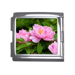 Beautiful Tree Flowers Mega Link Italian Charm (18mm) by 1212