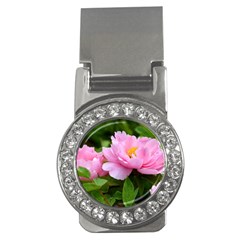 Beautiful Tree Flowers Money Clips (cz)  by 1212