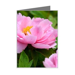 Beautiful Tree Flowers Mini Greeting Card by 1212