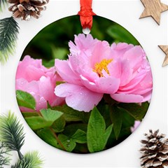 Beautiful Tree Flowers Round Ornament (two Sides) by 1212