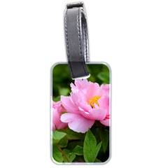 Beautiful Tree Flowers Luggage Tag (two Sides) by 1212