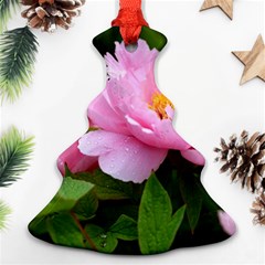 Beautiful Tree Flowers Christmas Tree Ornament (two Sides)