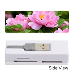 Beautiful Tree Flowers Memory Card Reader (stick) by 1212