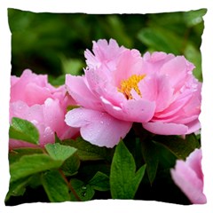 Beautiful Tree Flowers Large Premium Plush Fleece Cushion Case (two Sides) by 1212