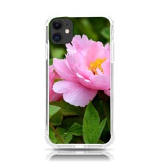 Beautiful Tree Flowers Iphone 11 Tpu Uv Print Case by 1212