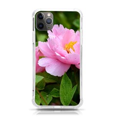 Beautiful Tree Flowers Iphone 11 Pro Max 6 5 Inch Tpu Uv Print Case by 1212