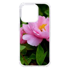 Beautiful Tree Flowers Iphone 14 Pro Tpu Uv Print Case by 1212