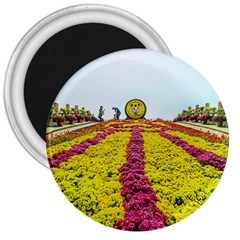 Beautiful Garden 3  Magnets by 1212