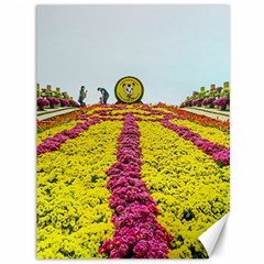 Beautiful Garden Canvas 36  X 48  by 1212