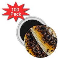 Yellow And Black Bees On Brown And Black 1 75  Magnets (100 Pack)  by Ndabl3x