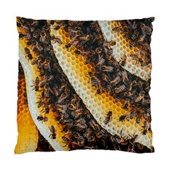 Yellow And Black Bees On Brown And Black Standard Cushion Case (two Sides) by Ndabl3x