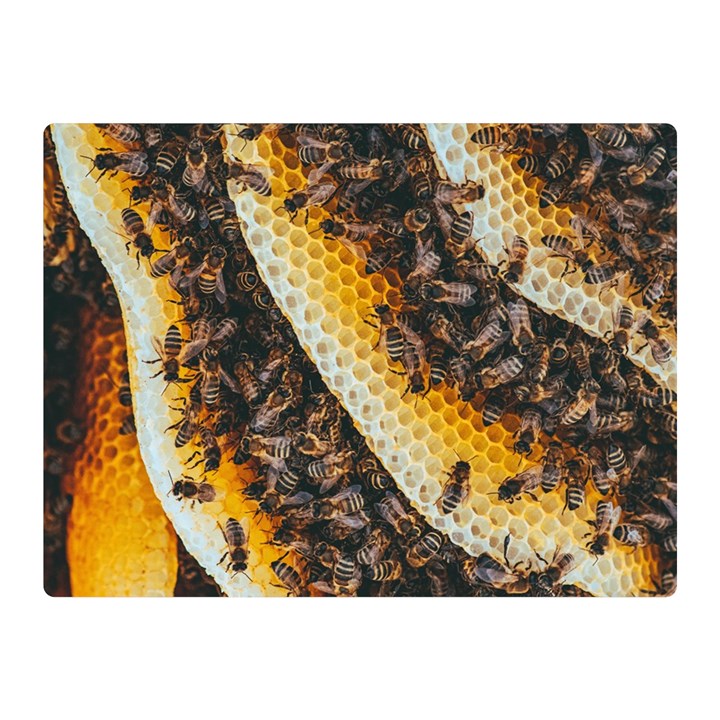 Yellow And Black Bees On Brown And Black Two Sides Premium Plush Fleece Blanket (Mini)