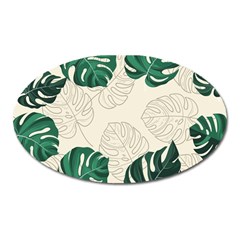 Leaves Monstera Background Oval Magnet