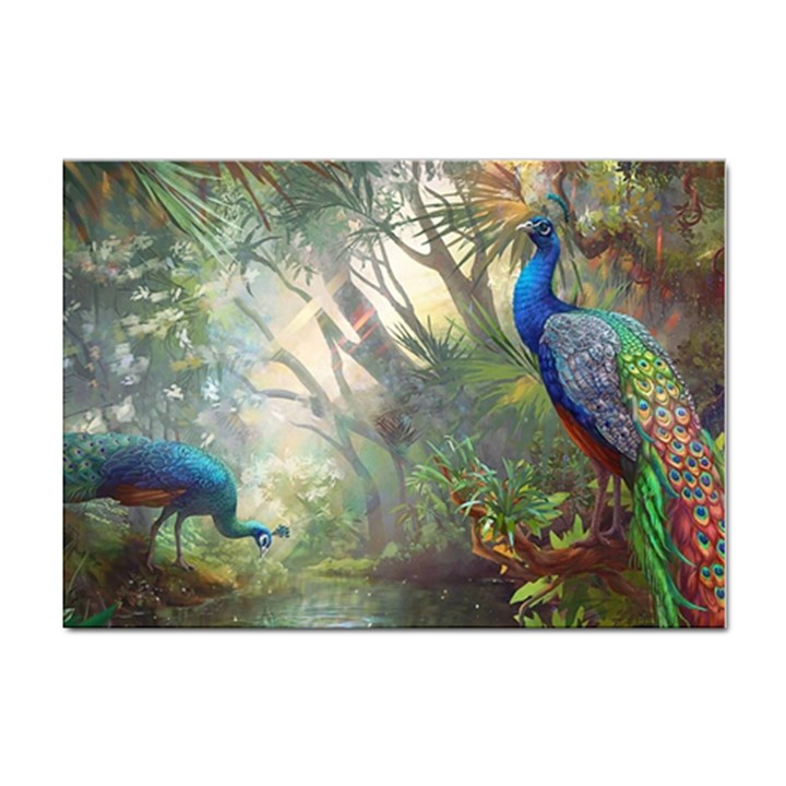 Peafowl Peacock Bird Birds Painting Art Wildlife Sticker A4 (100 pack)