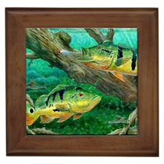 Peacock Bass Fishing Framed Tile by Sarkoni