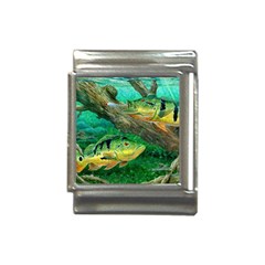 Peacock Bass Fishing Italian Charm (13mm) by Sarkoni